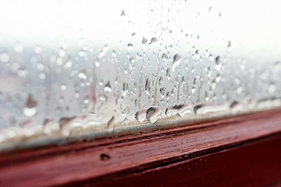 Condensation slipping in between the panes can mean a leak!