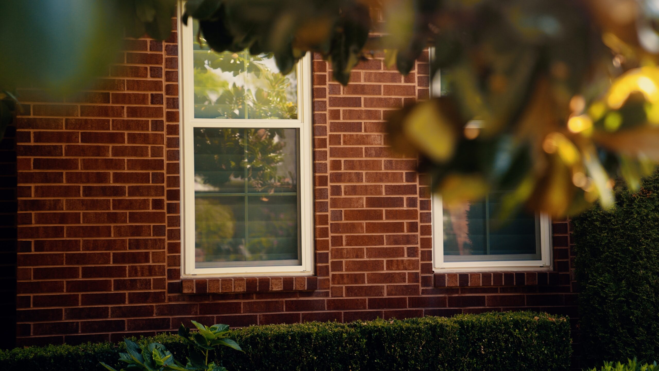 windows